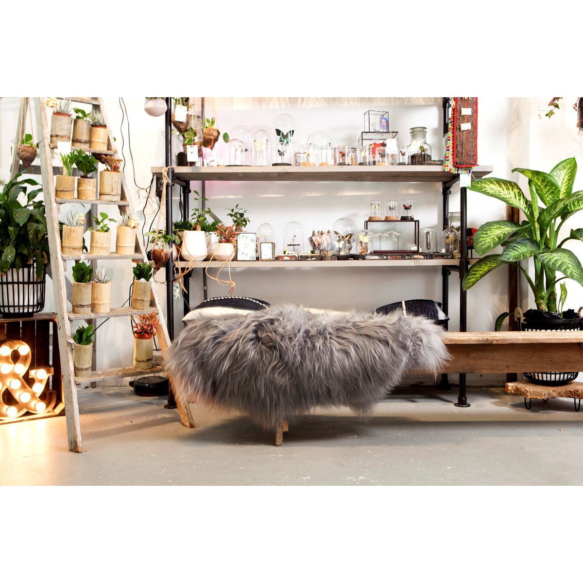 SHEEPSKIN ICELANDIC GREY 90-110cm