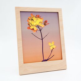 A framed A4 poster featuring a vibrant yellow blossom against a warm sunset sky. The poster is titled "Dusk - Rapeseed 01" and belongs to the Posters category.