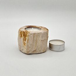 Teelichthalter aus versteinertem Holz – einzigartiges Naturobjekt