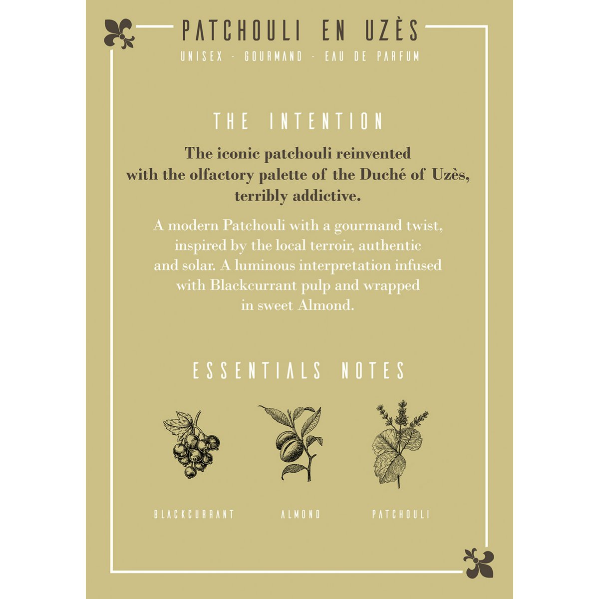 Patchouli in Uzès Eau de Parfum 50ml