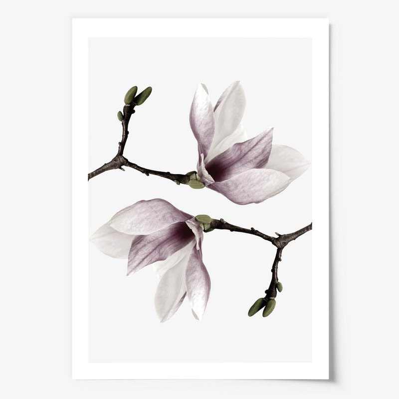 Poster: Magnolia Twins