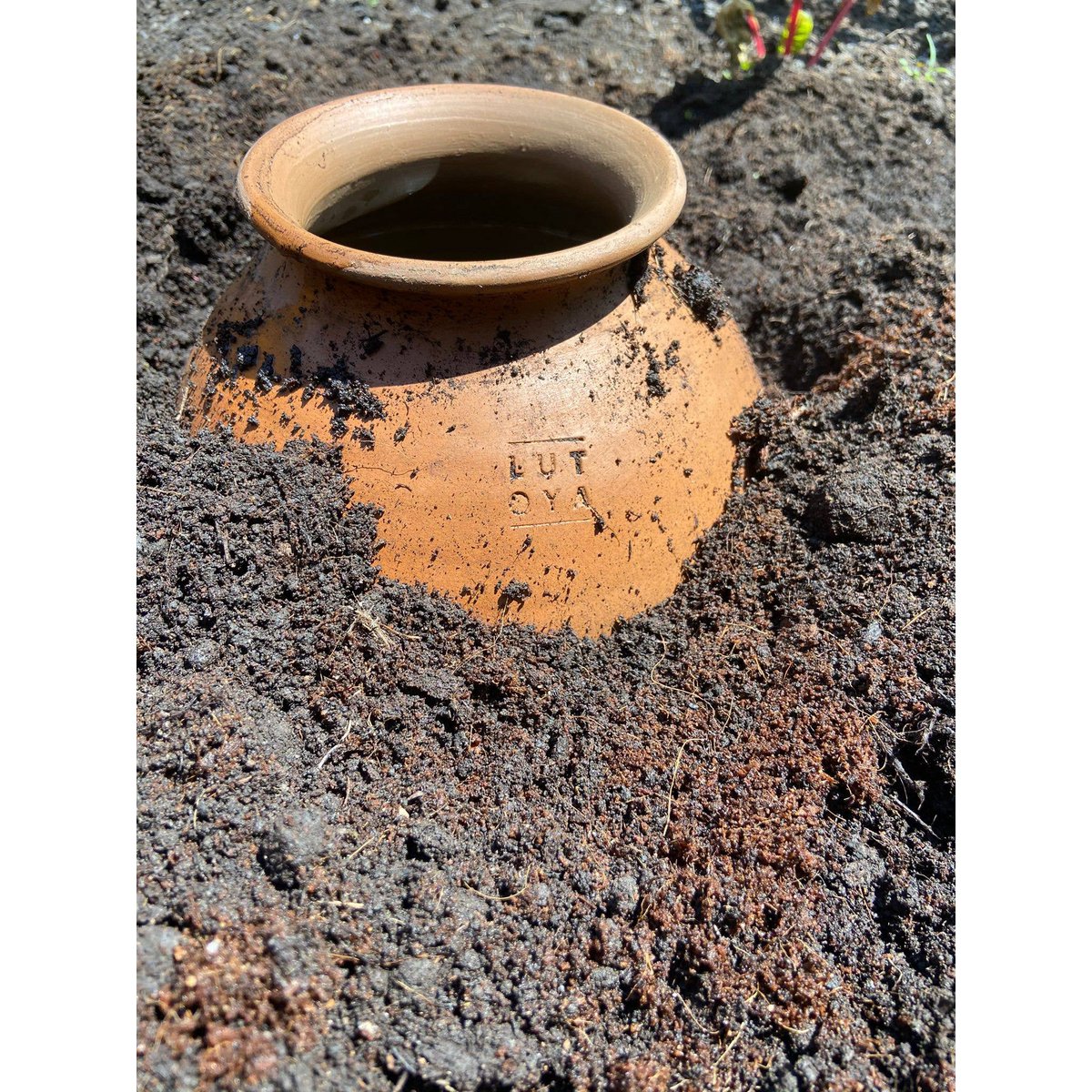 Pot auto-arrosant pour jardins - Lutoya 5L