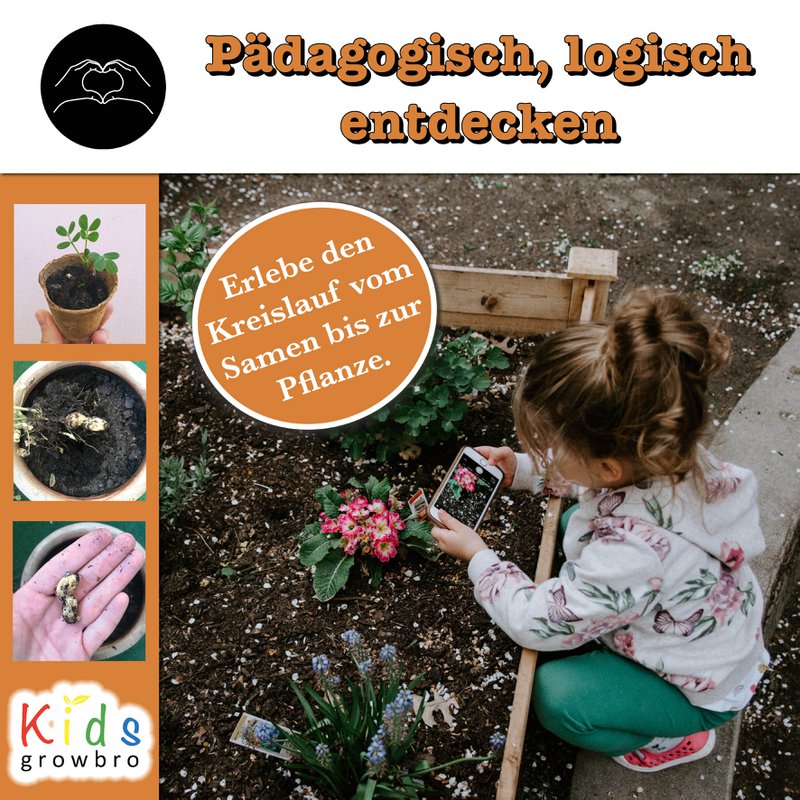 growbro kids set per la coltivazione di arachidi, set per la scoperta del giardino, bambini ricercatori, regalo per bambini, regalo di compleanno per bambini, esperimento da portare con sé