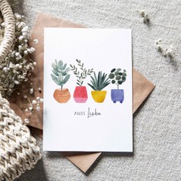 Faltkarte "Bunte Blumentöpfe"