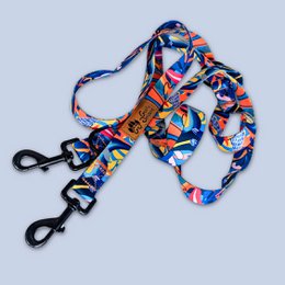 Multi-position Lagoon leash