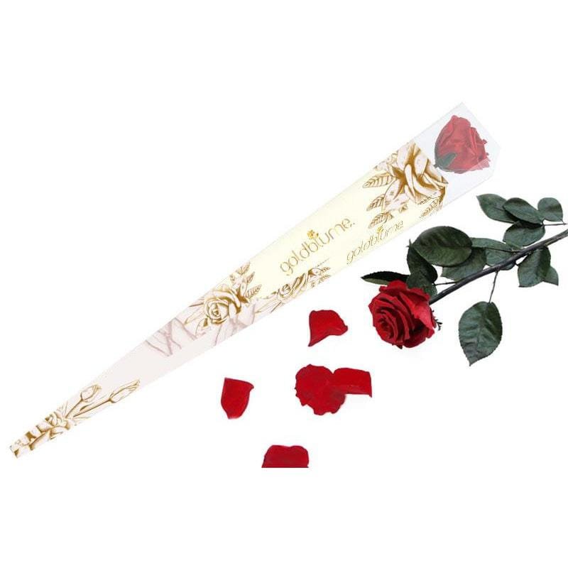 Rosa cielo de tallo largo