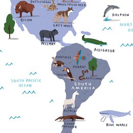 Die Weltkarte der Tierwelt
