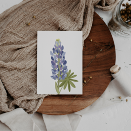 Postkarte Blume Lupinen - Botanische Grußkarte Lupinen Island - Iceland Lupines Flower Card