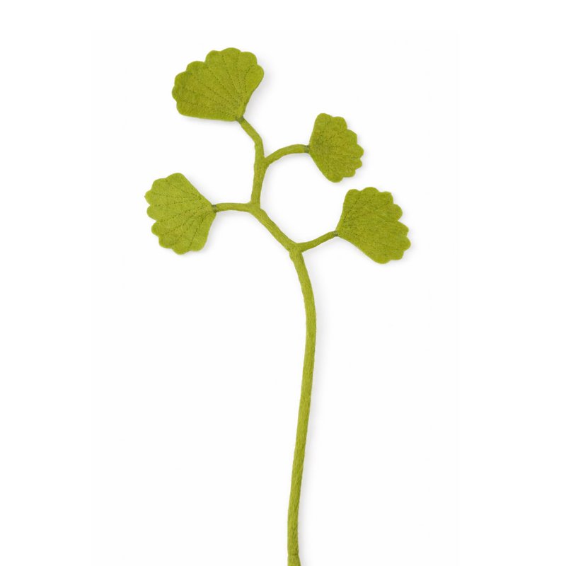 Ginko 4 foglie