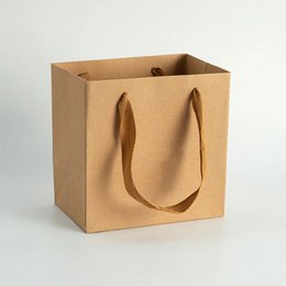 Shopping bag papier