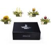 Magnetbox 6er Teelini Weißer Tee