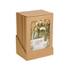 Giftbox - Dried Flowers in Letterbox - Natural