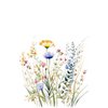 Eco kaart - bloemenweide
