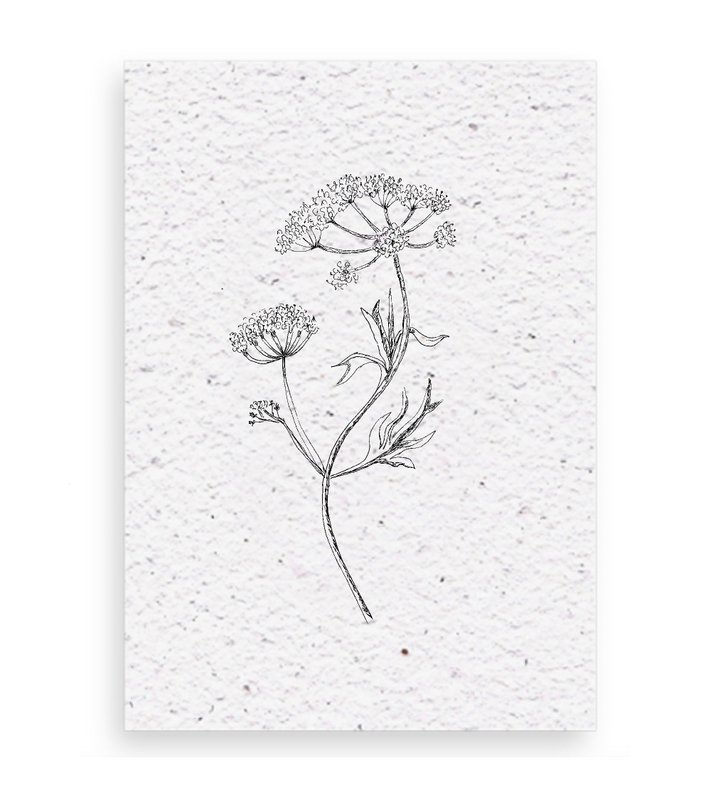Growth map Anise