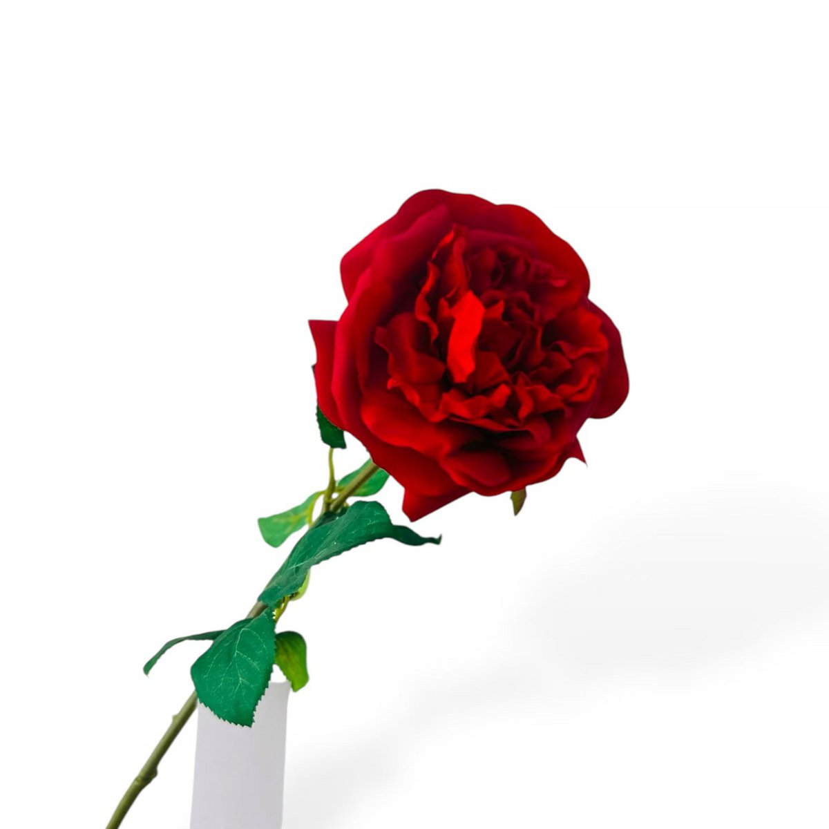 QMF Mano Toque Rosa 65cm 1PCS rojo