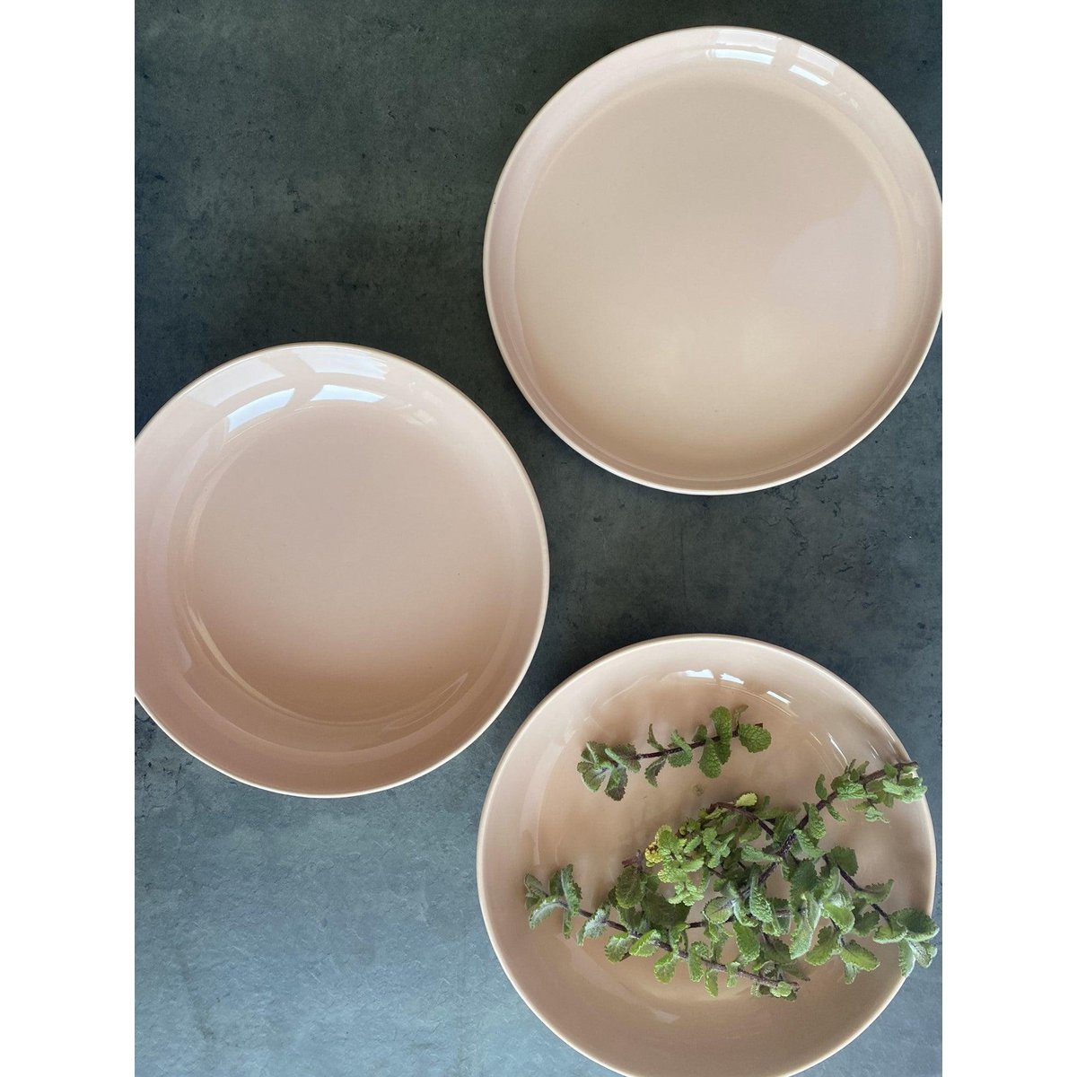 Elements Pink Salmon Soup Plate