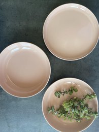 Elements Pink Salmon Soup Plate