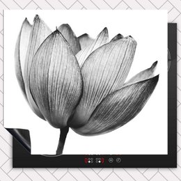 Protecteur induction - Lotus en noir et blanc