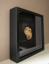 SeArt by Noa - Oesterkunst (helt sort på hovedet)