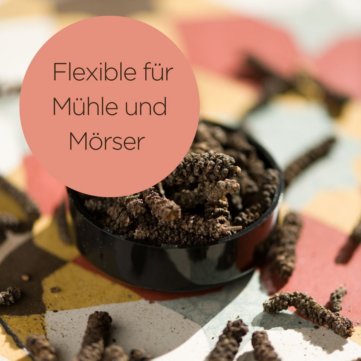 Timiz Pfeffer – Wilder Langpfeffer aus Äthiopien, Ernte 01-2026
