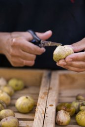 KUMILIO Premium Sundried Kími Figs