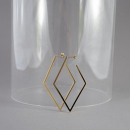 FRAME Gold Earrings