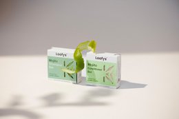 Conditioner Bar Mojito