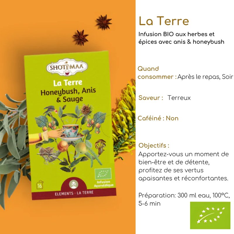 Bio-Kräutertee-Aufguss „Elements of Nature“ – Wohlfühl-Aufgüsse, inspiriert von den 5 Elementen für Ausgeglichenheit und Vitalität – erdig, beruhigend, revitalisierend, duftend