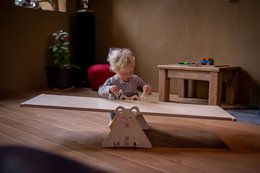 Elypik Mouse: det gratis motorikmodul