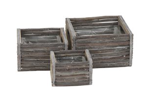 Box e.g. Plant square S/3