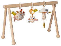 Van Dijk Toys & Dolce Houten Baby Gym Earth (Childcare Quality)
