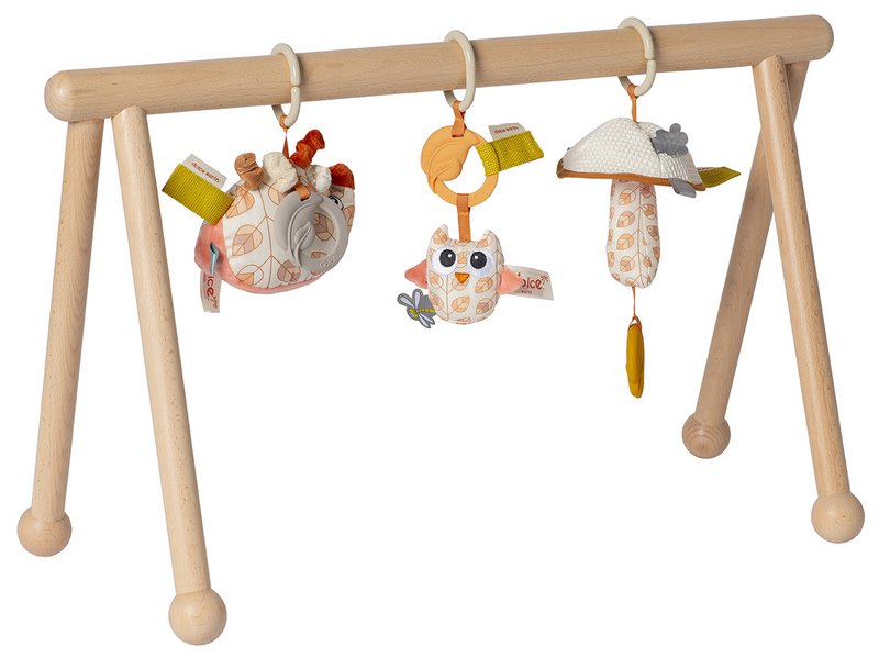 Van Dijk Toys & Dolce Houten Baby Gym Earth (Childcare Quality)