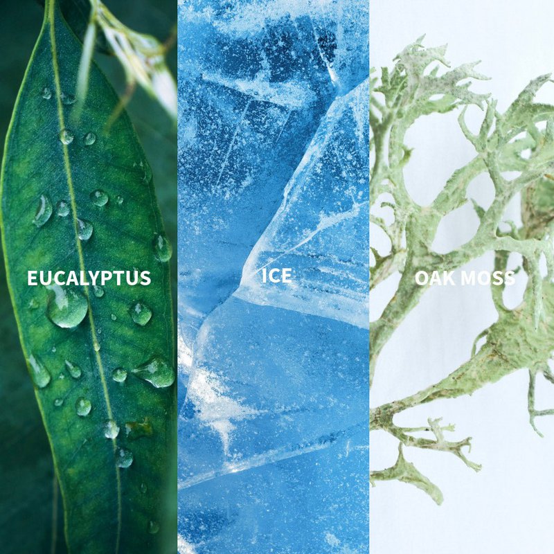ICE - BOREAL Eau de Parfum