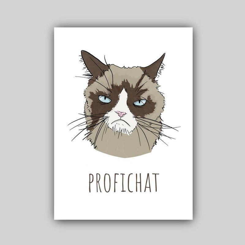 ProfiCHAT!