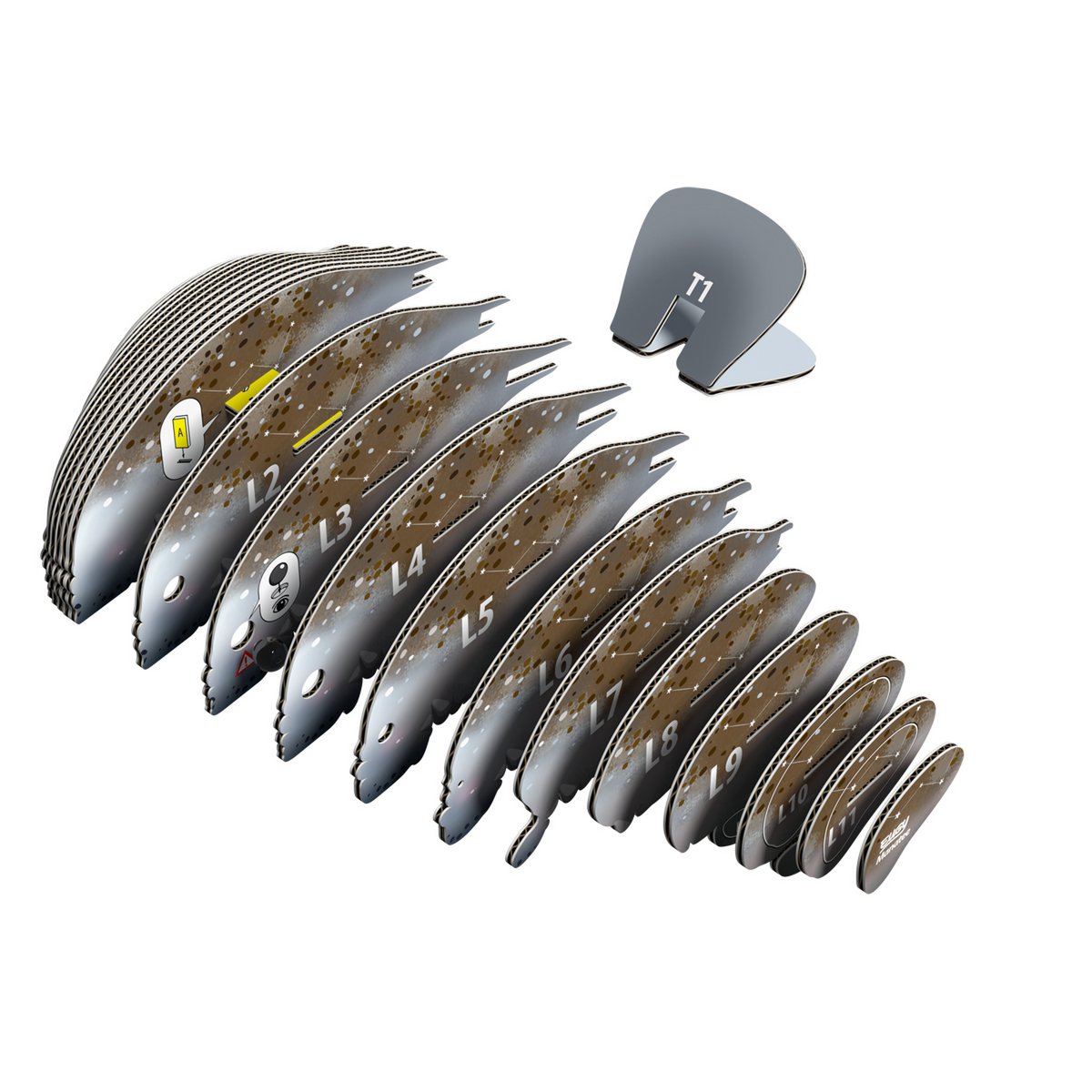 EUGY 3D Puzzle - Manatee