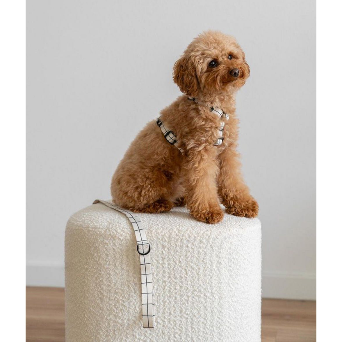 Recycled PET Harness Beige Line Design, Juno
