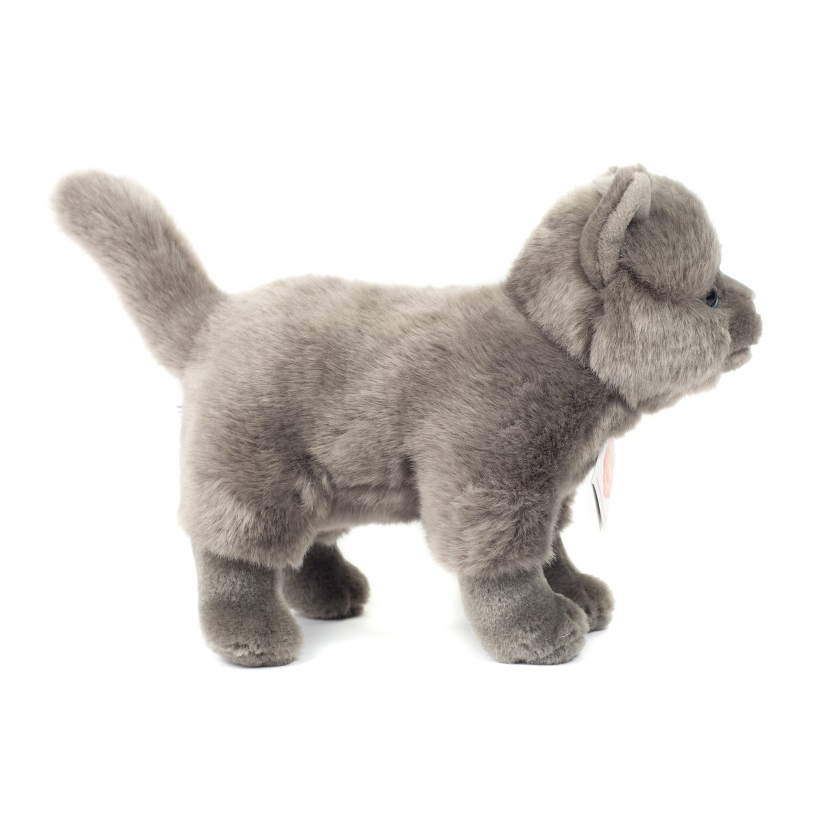 Gato cartujo de pie 20 cm - peluche - peluche