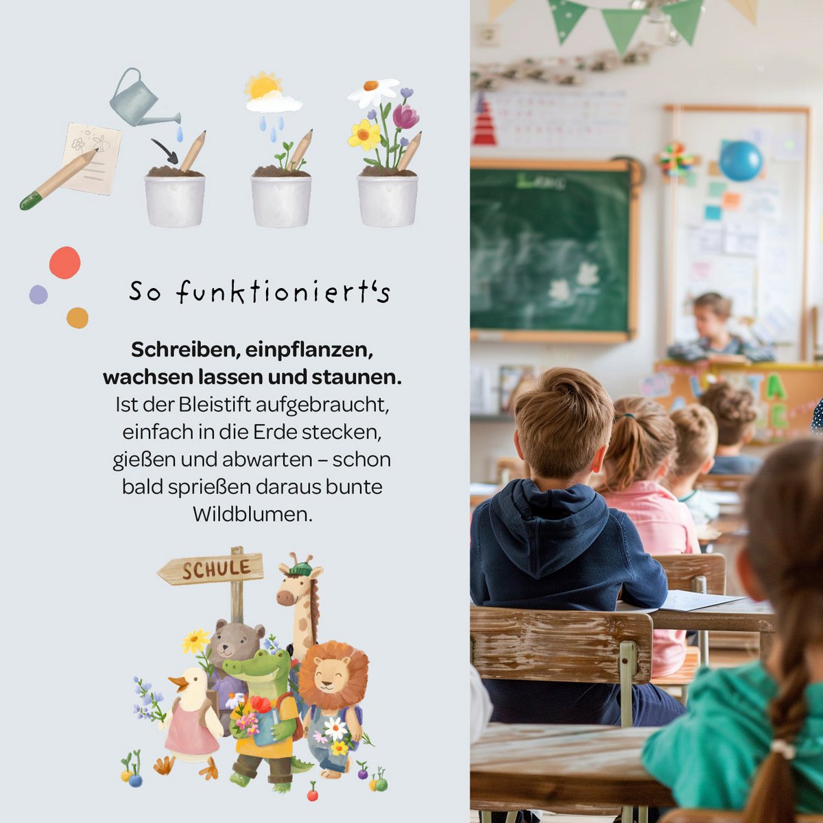 Back-to-School, Blumenstift