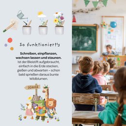 Back-to-School, Blumenstift