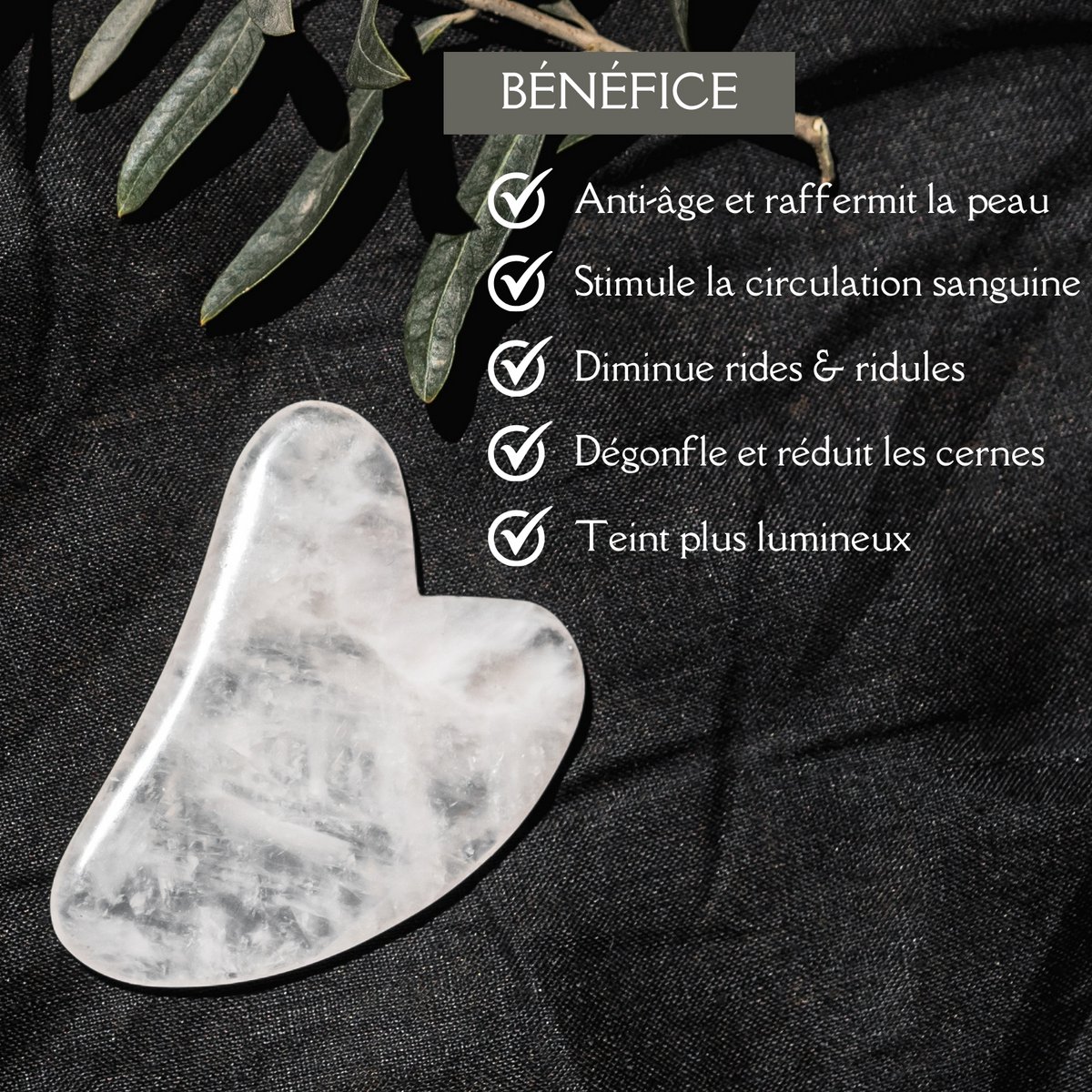 Gua Sha y Hongo en Piedra Natural | 6 modelos para elegir