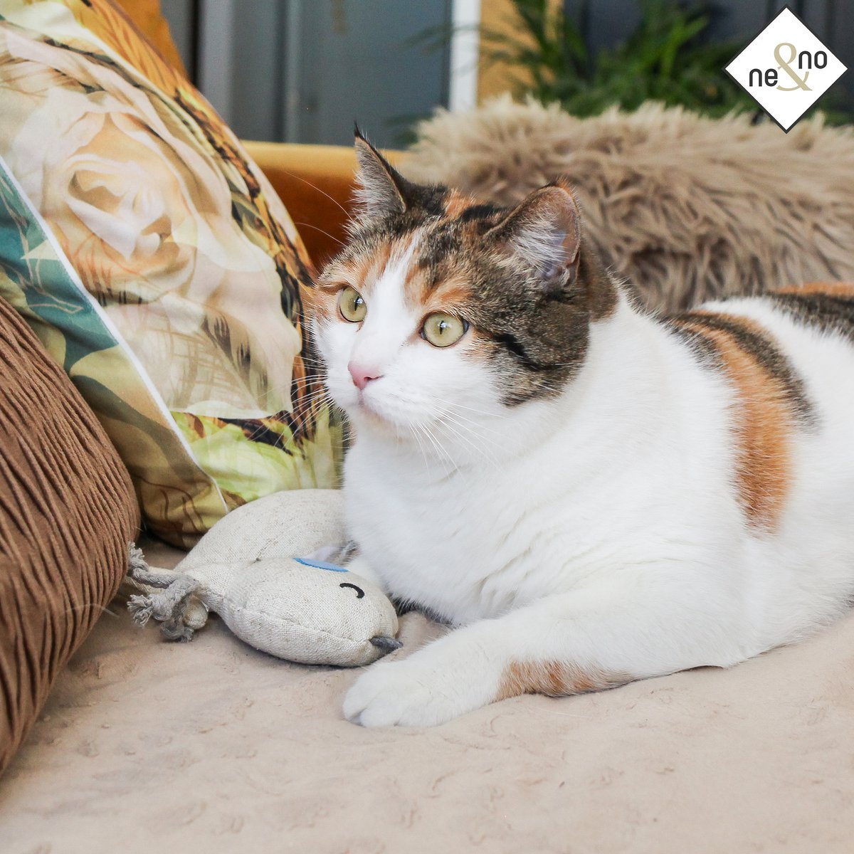 Ne & No® cat toys with valerian, 3 -series set play animals with 9 Baldian bag (1.5g each), refillable, can be reinstated