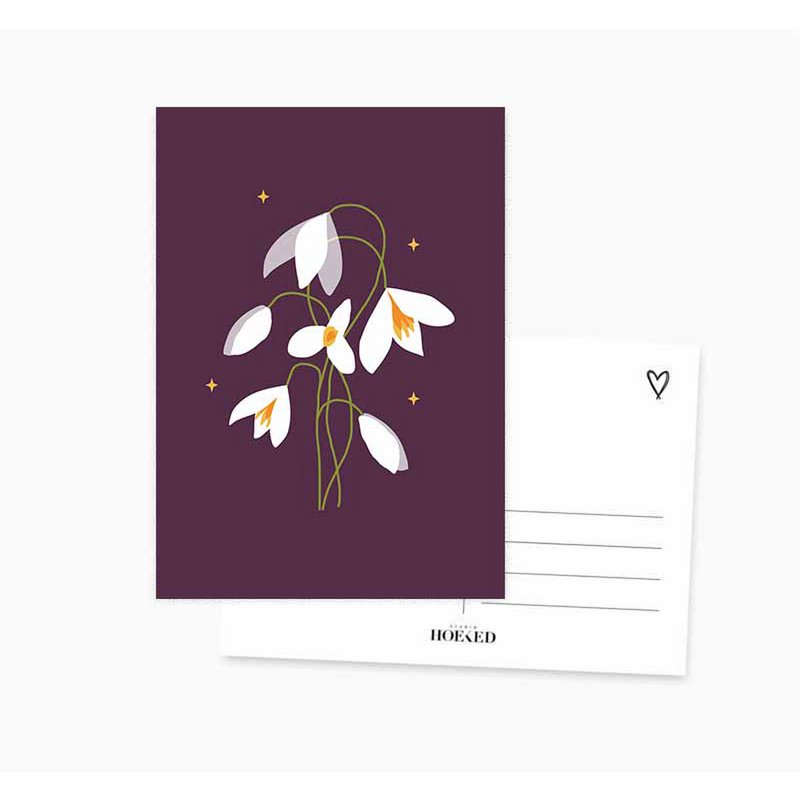 Postal A6 || Campanilla de invierno || Flor