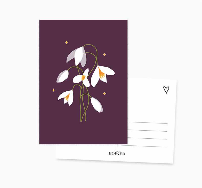 Postal A6 || Campanilla de invierno || Flor