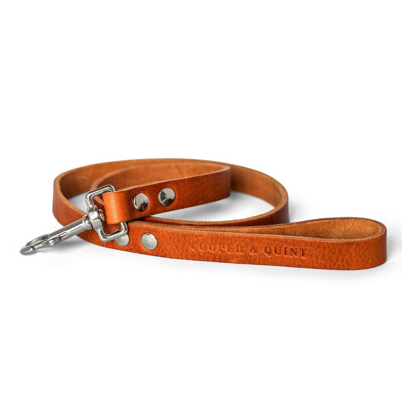 No fuss dog leash | Camel