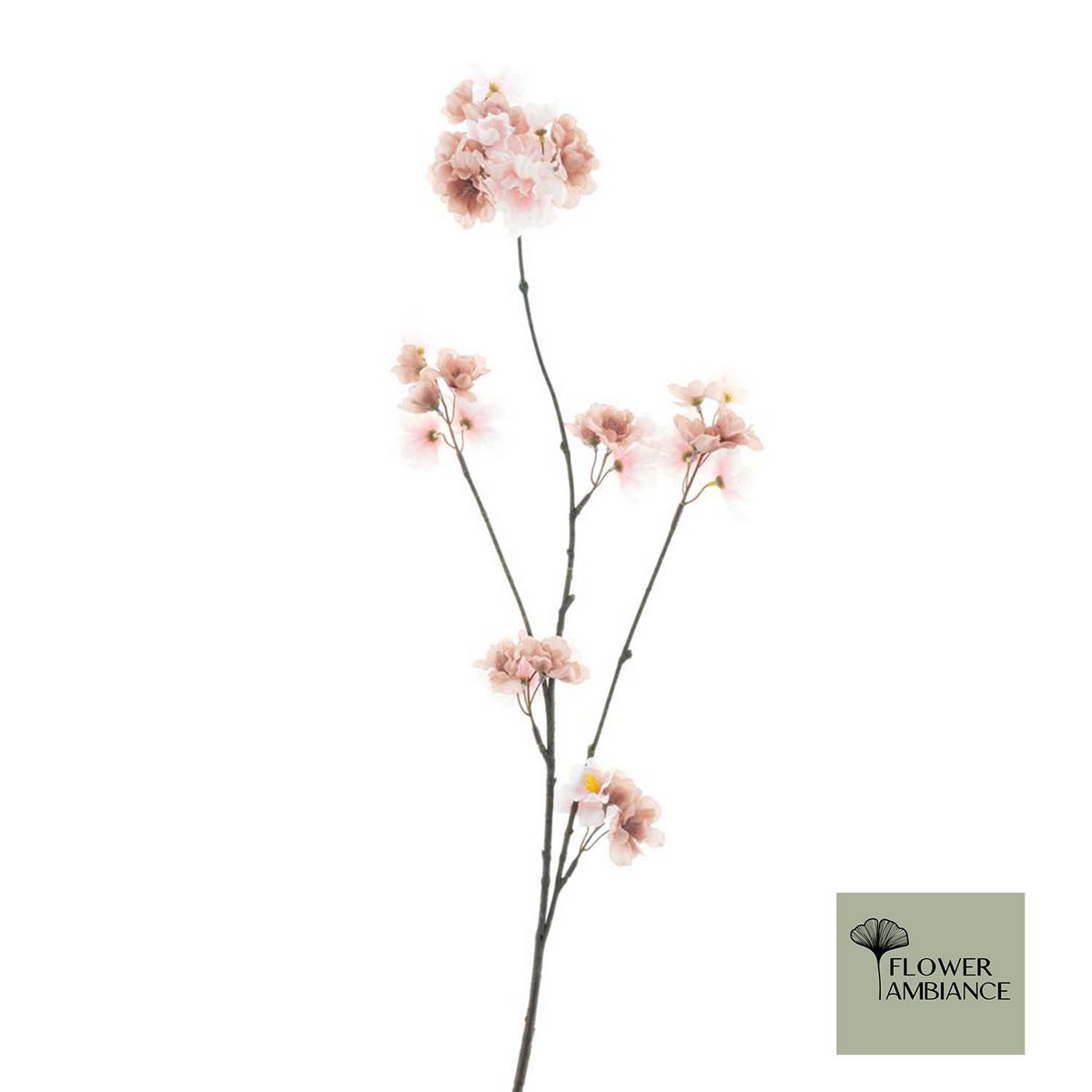 Prunus malaga spray 84 mix p/ old p