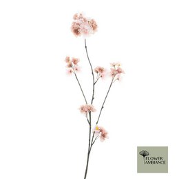 Prunus malaga spray 84 mix p/ old p