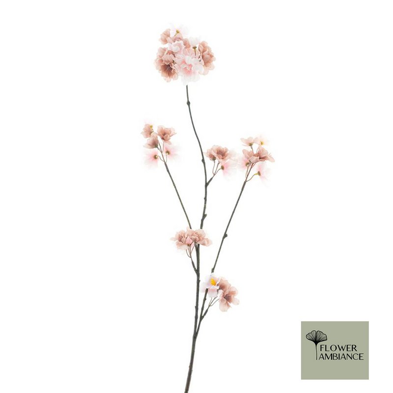Prunus malaga spray 84 mix p/ old p
