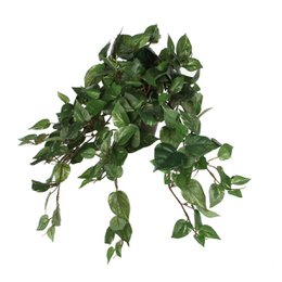 Kunst hangplant Scindapsus hanging Groen