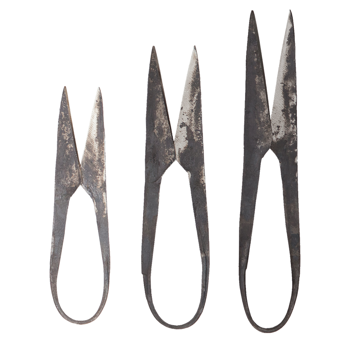 AUTHENTIC BLADES MO, forbici per erbe, lunghezza taglio 4-8 cm