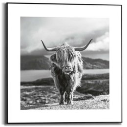 Painting Slim Frame Highlander 50x50